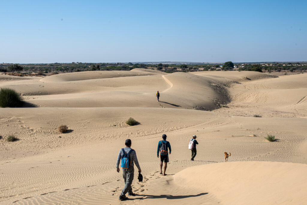 Desert Life