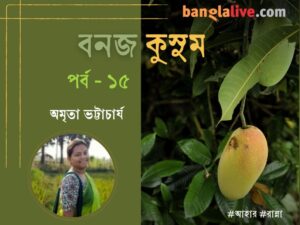 Mango recipe