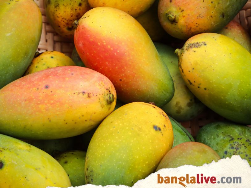 Mango Day