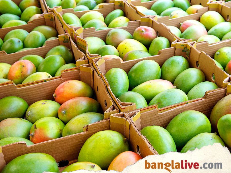 Mango Day