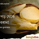Papad