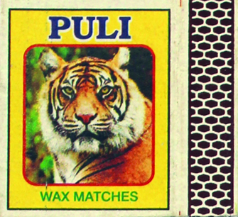 Tiger