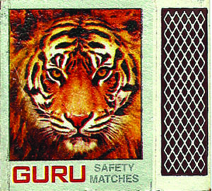 Tiger