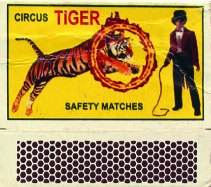 Tiger
