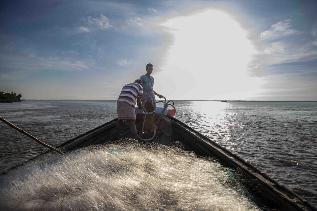 Hilsa