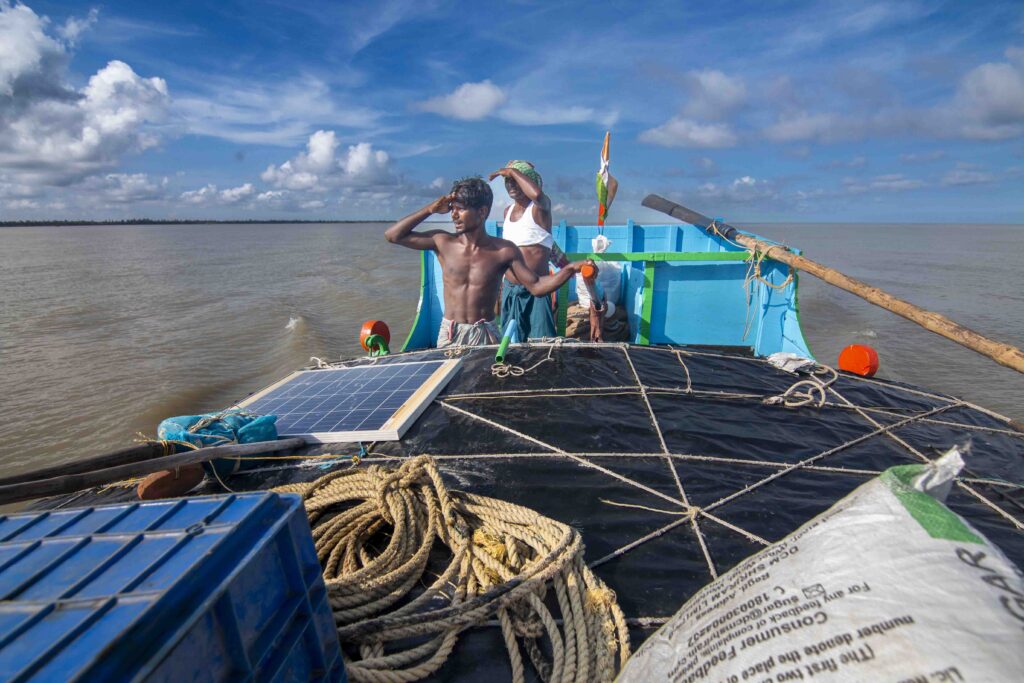Hilsa
