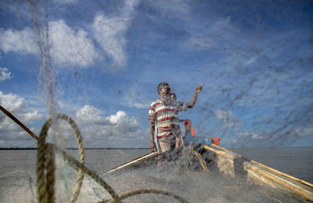 Hilsa