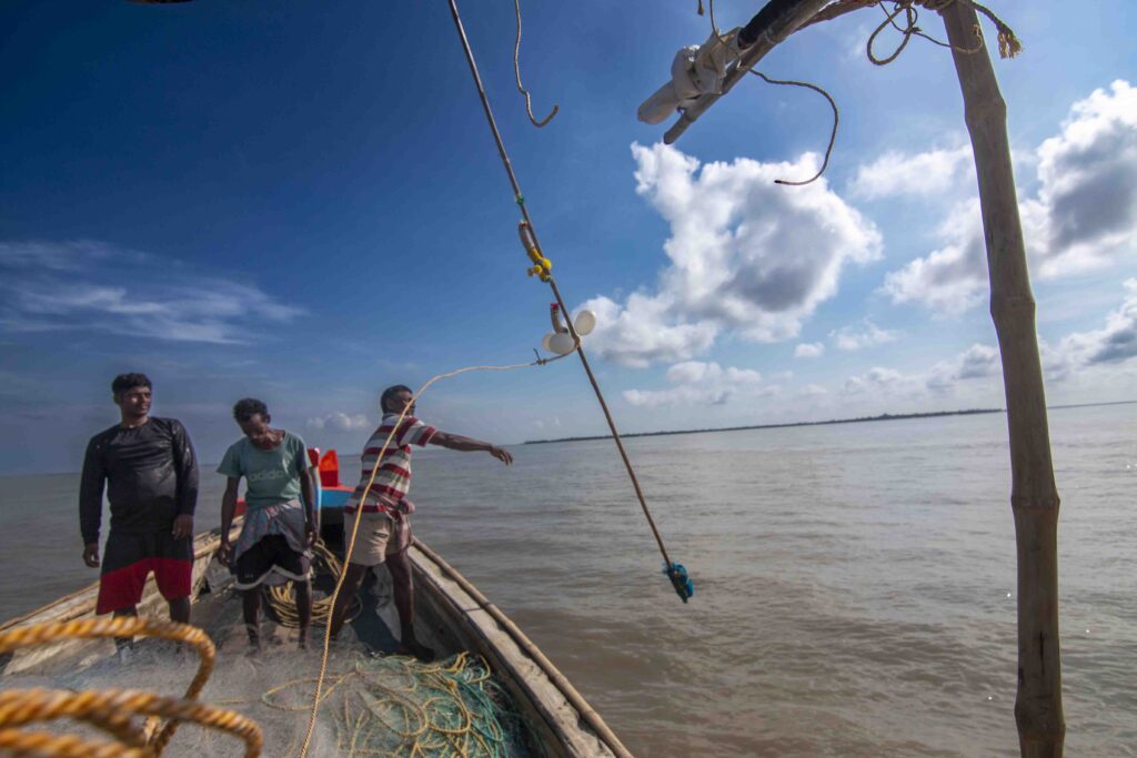 Hilsa