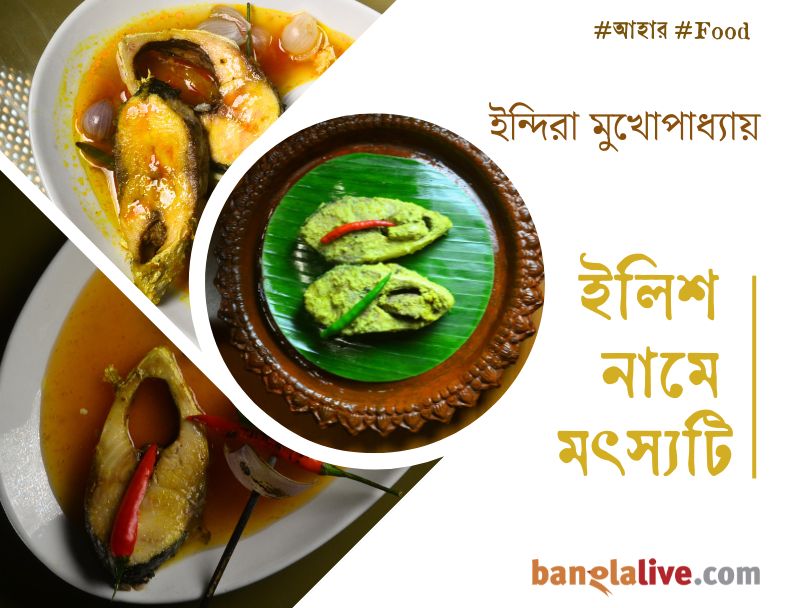 Hilsa