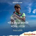 Hilsa