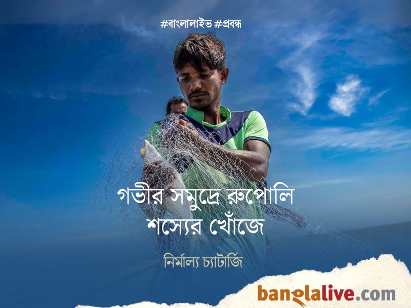 Hilsa