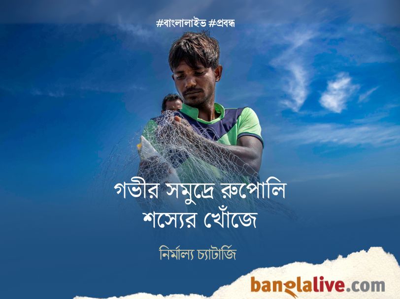 Hilsa