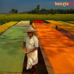 Santipur Saree