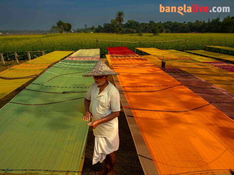 Santipur Saree