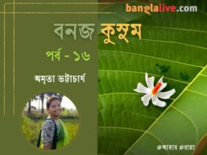 Village Fish Recipe