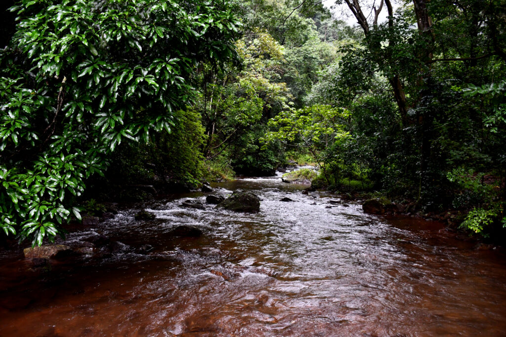 Falls