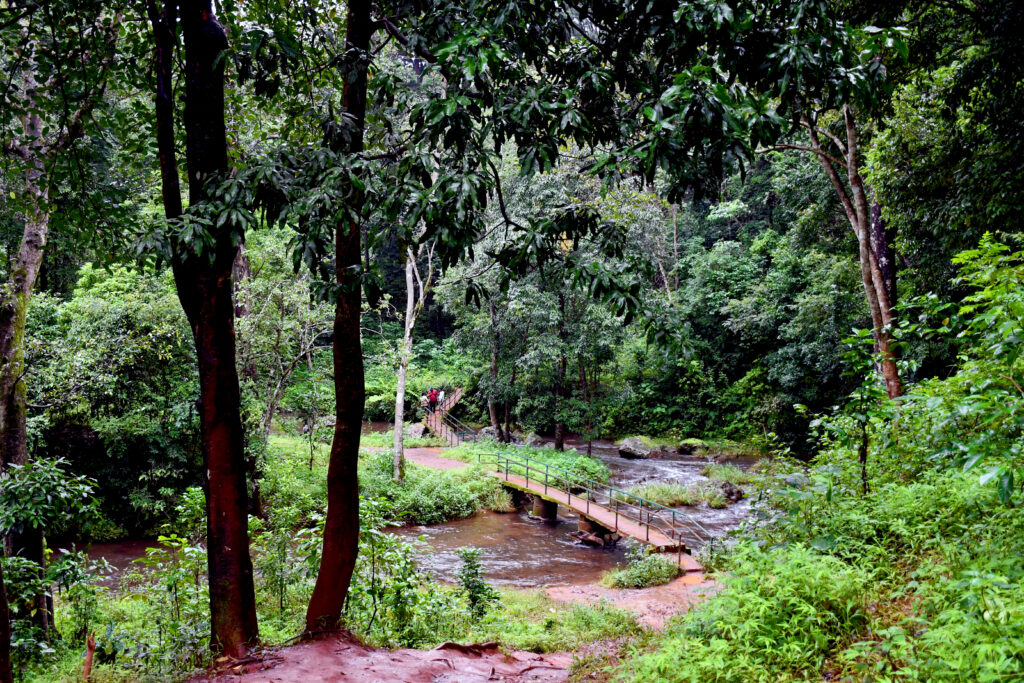 Falls