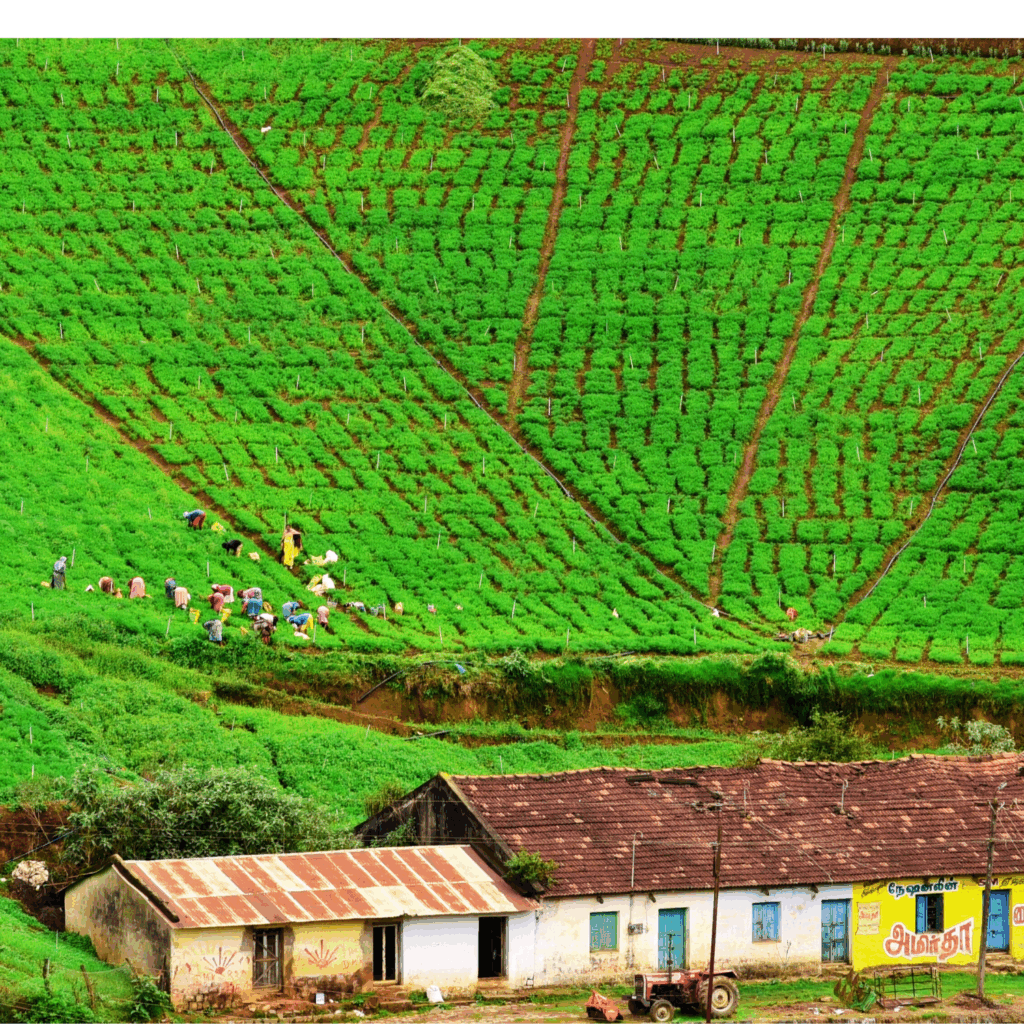 Kotagiri