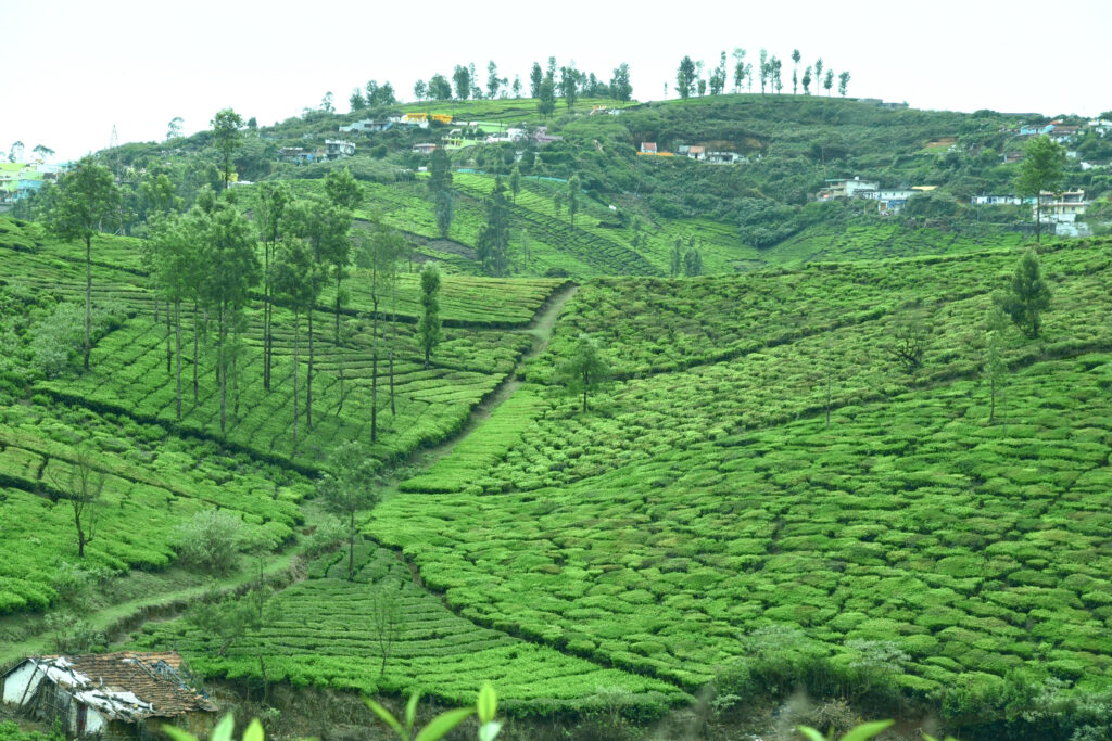 Kotagiri