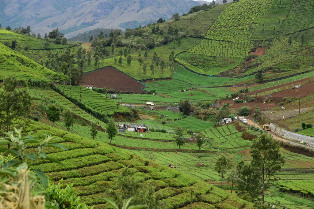 Kotagiri
