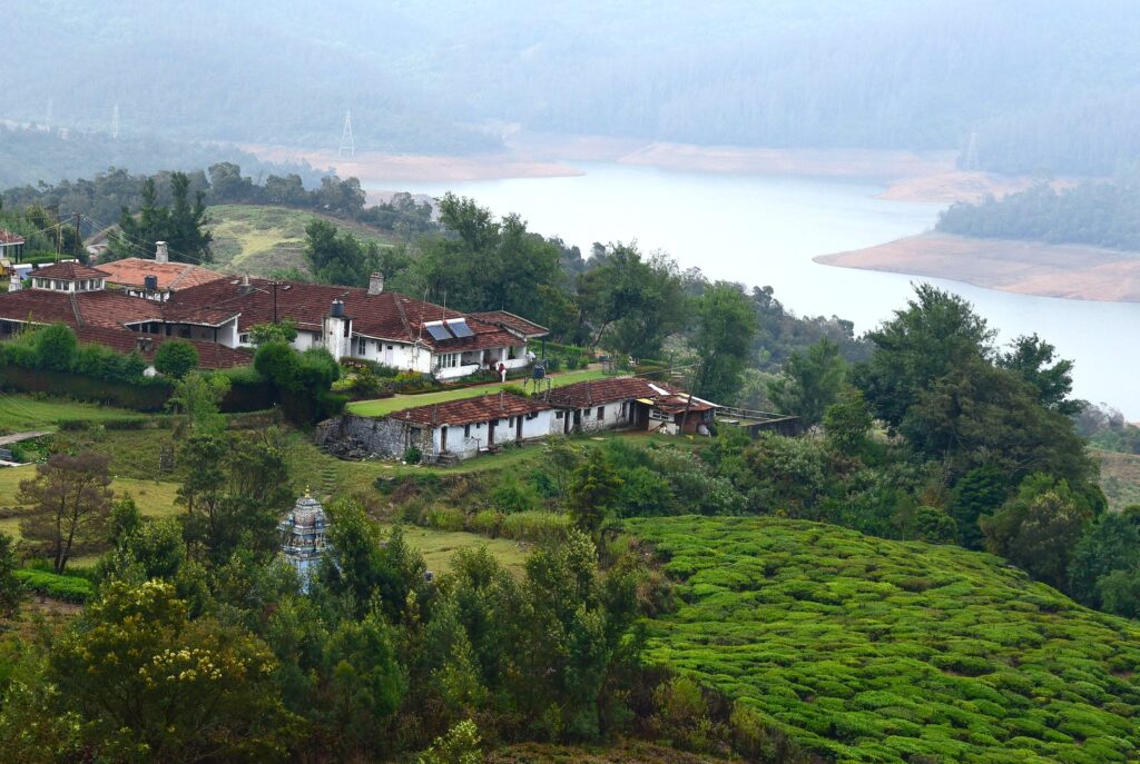Ooty