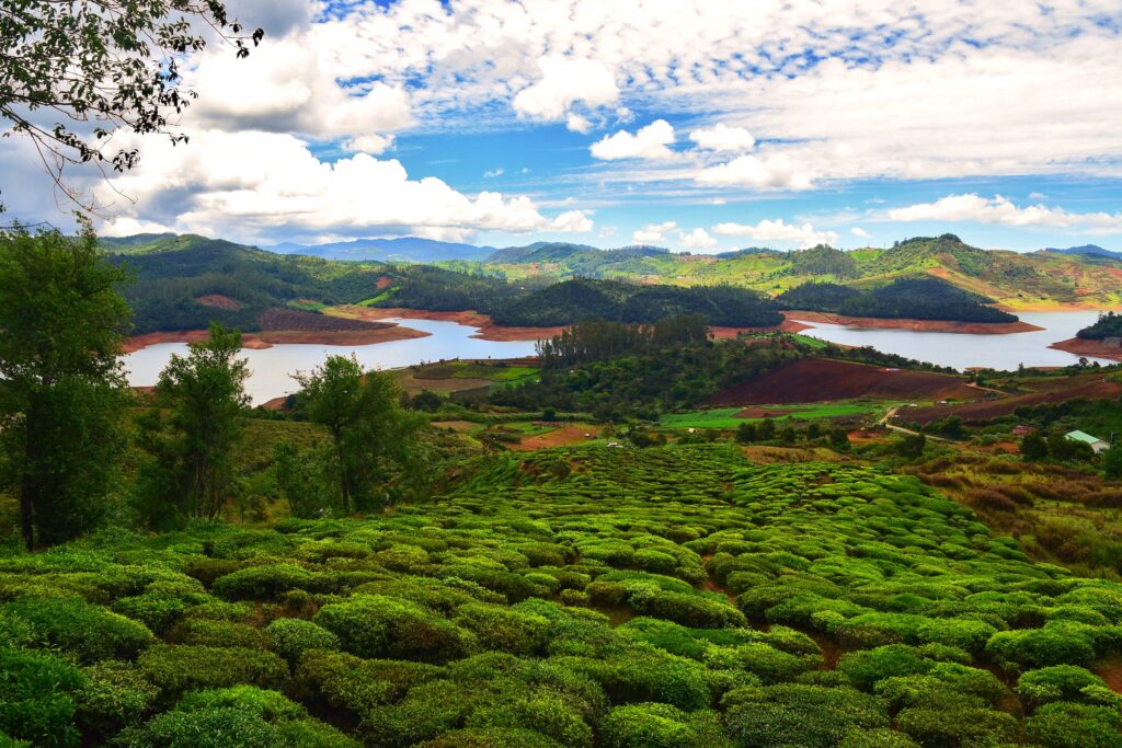 Ooty