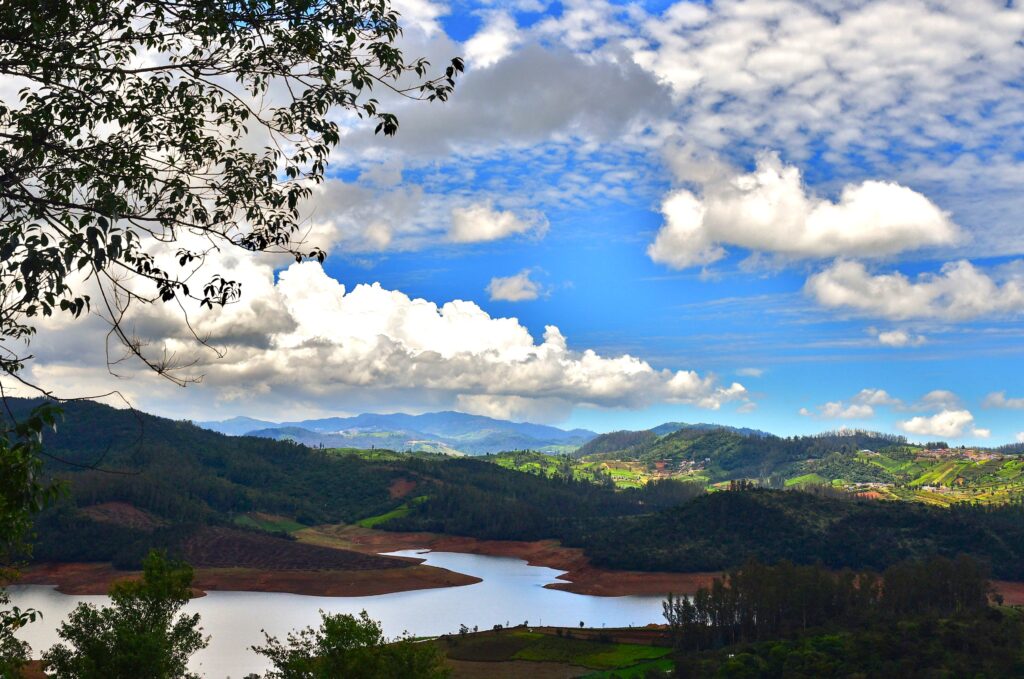 Ooty