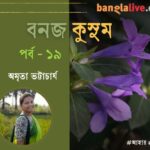 Pre Winter Food Culture