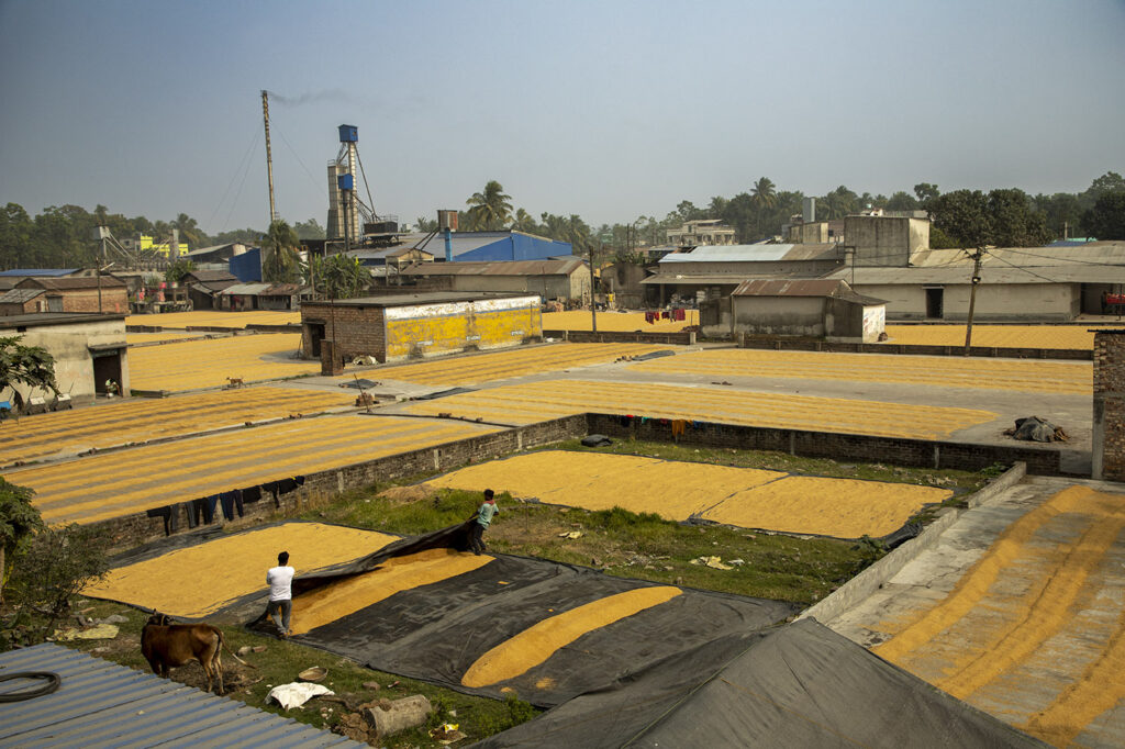 Rice Mill