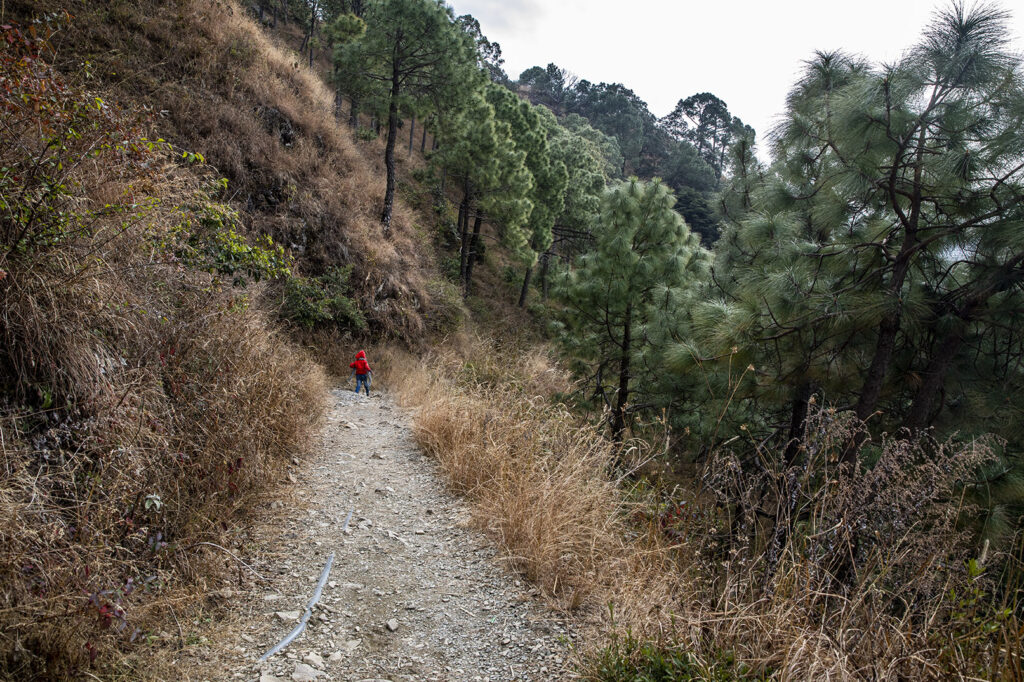 Kasauli