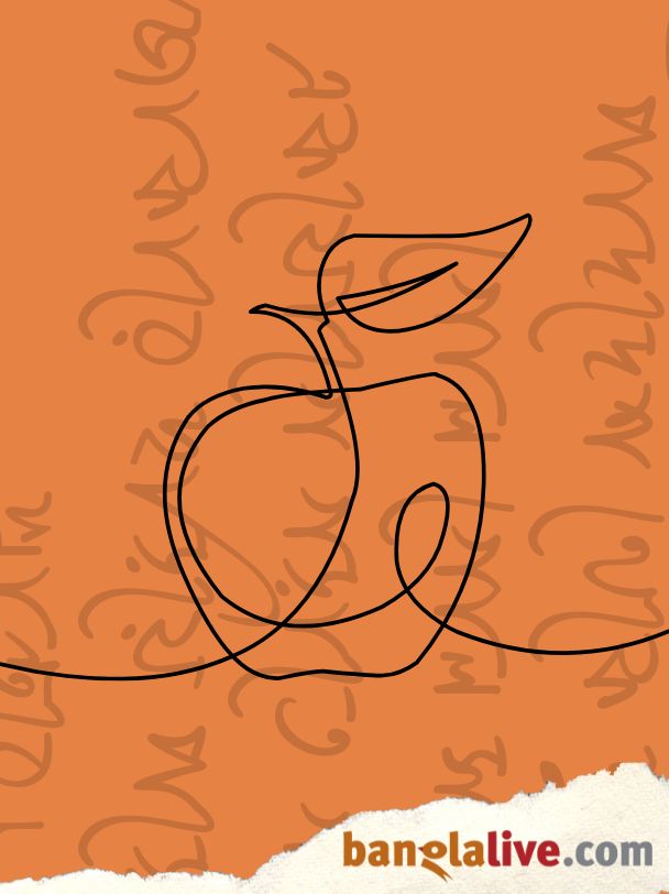 Little Magazine Corner