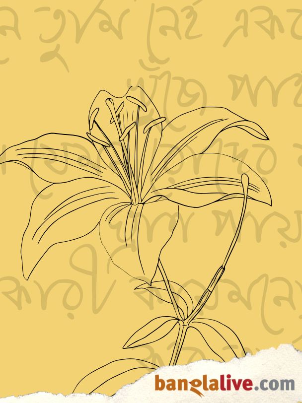 Little Magazine Corner