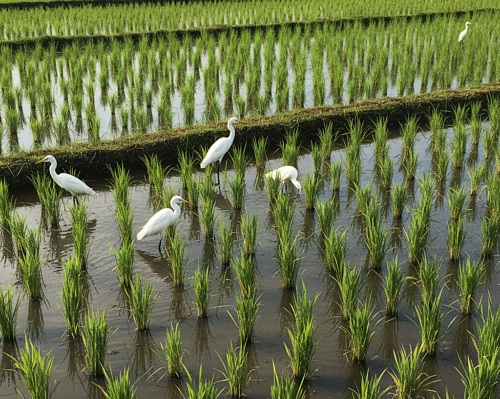Rustic winter cooking