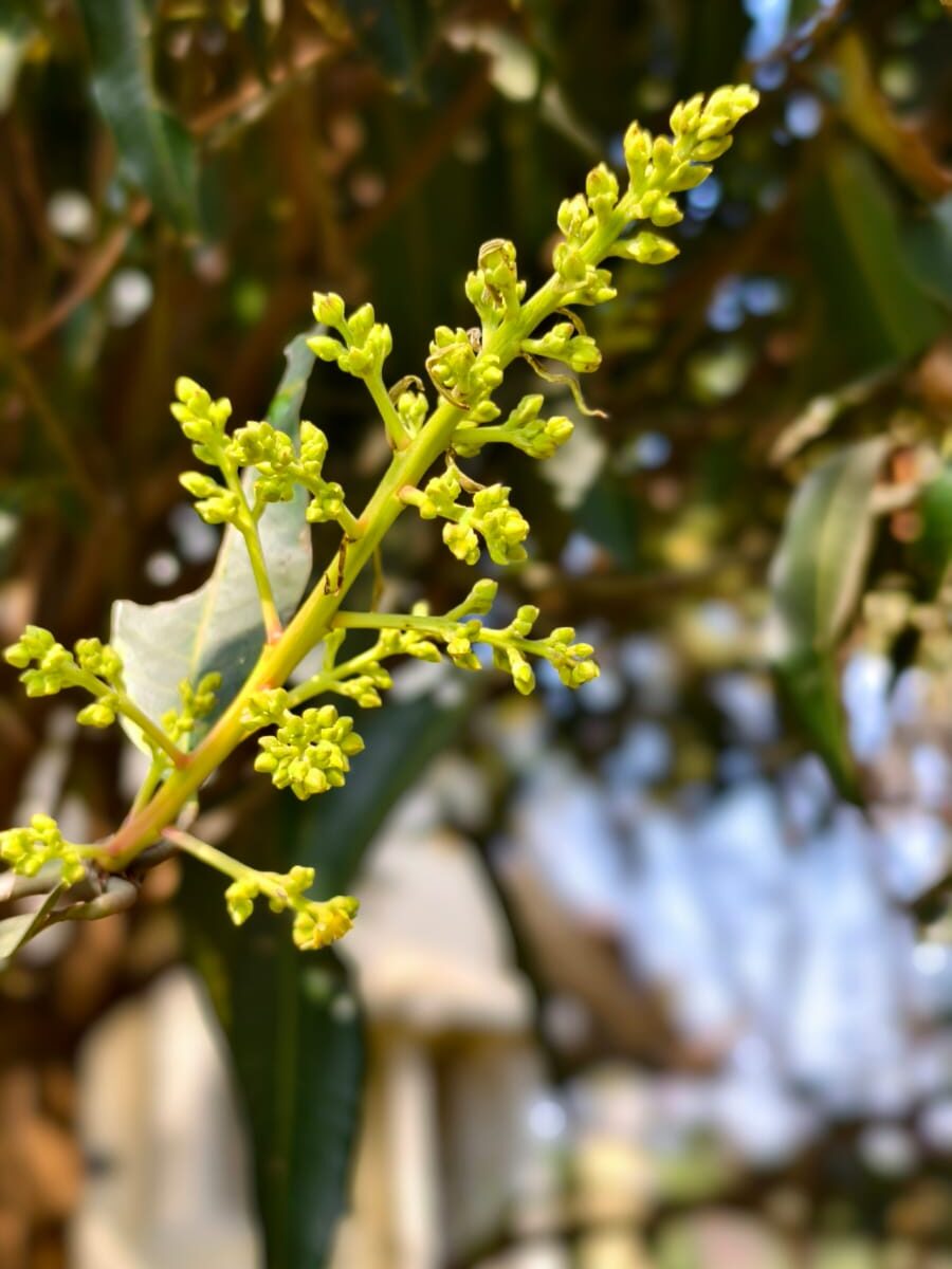 Rustic winter cooking