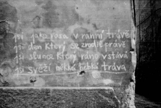 Jon Lennon Wall