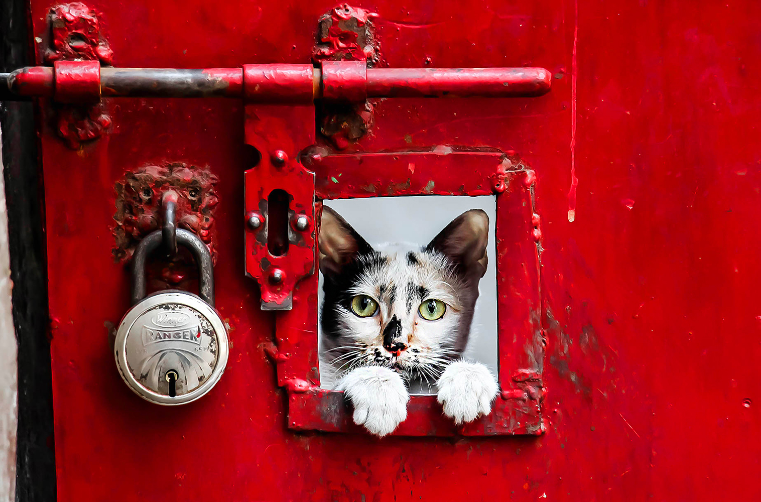 Street Photography