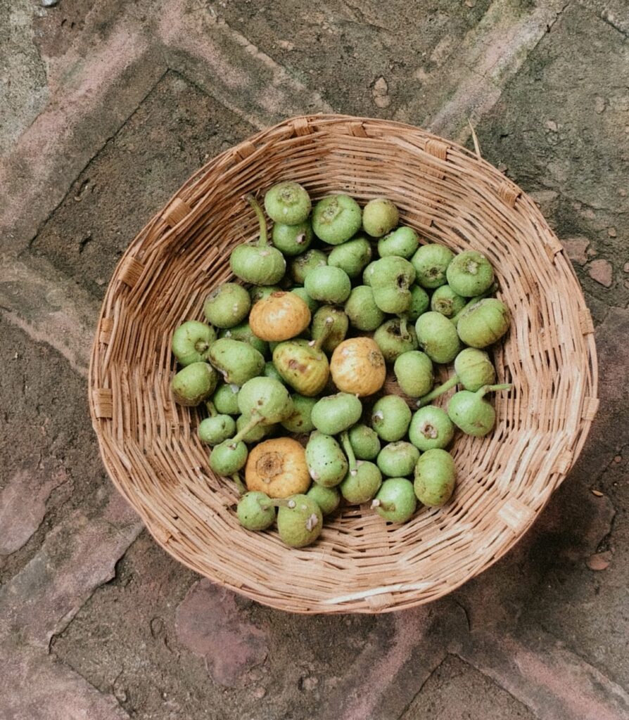Rustic Cooking 26