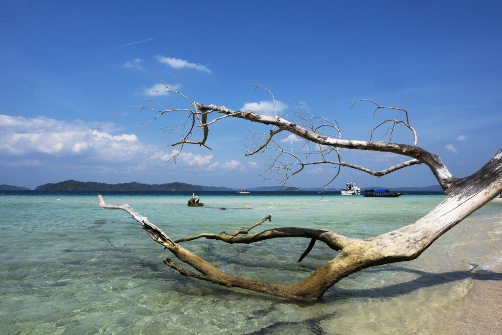 Onoisorgik Andaman 2