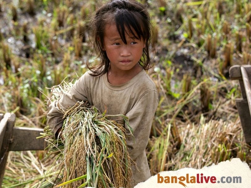 Child Labour In India