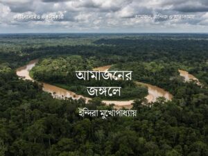 Amazon Travelogue