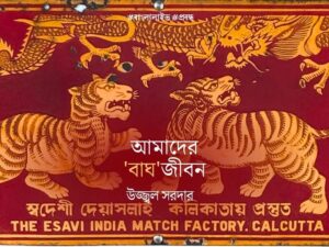 International Tiger Day