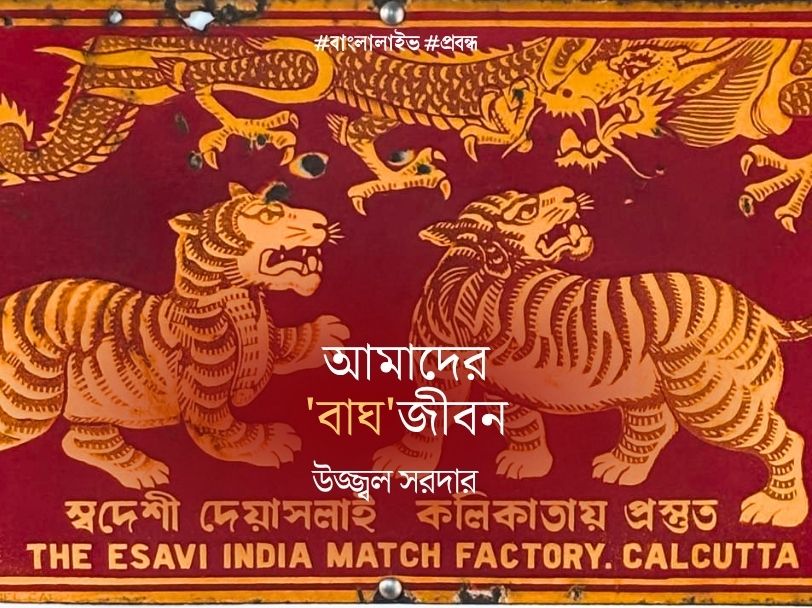 International Tiger Day