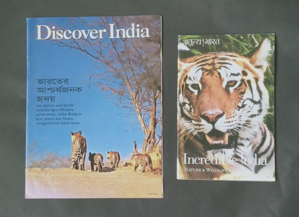 International Tiger Day