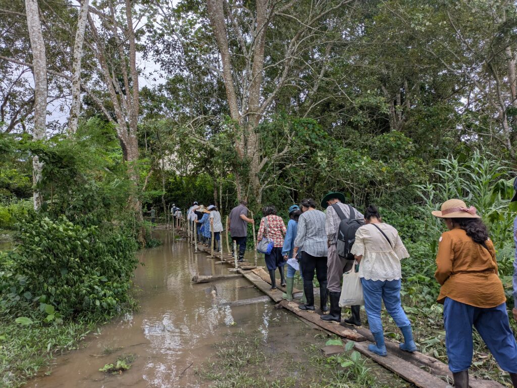 Amazon Travelogue