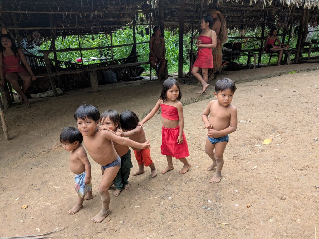 Amazon Travelogue