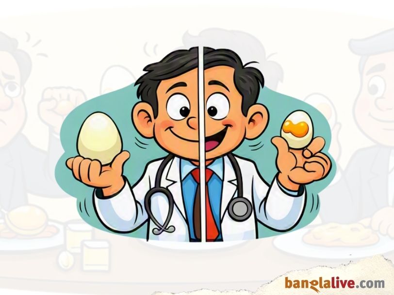 Egg Cover Story