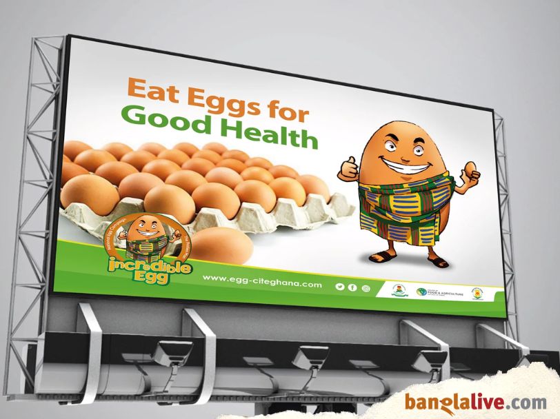 Egg Movement