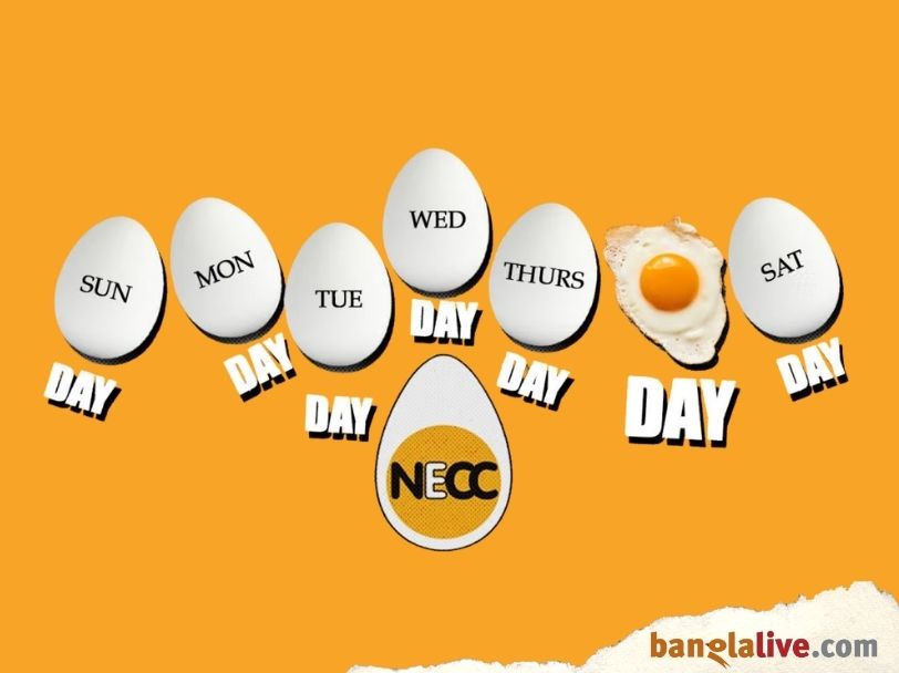 Egg Movement