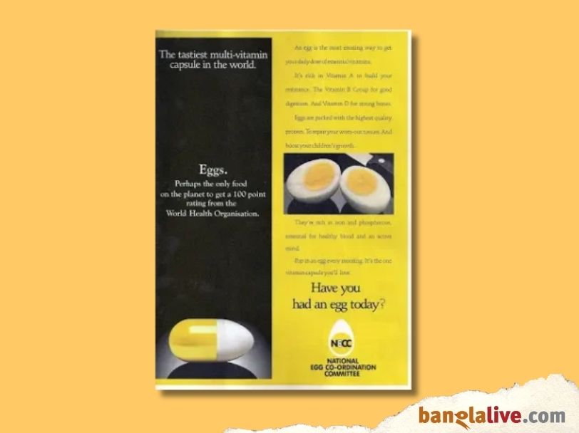 Egg Movement