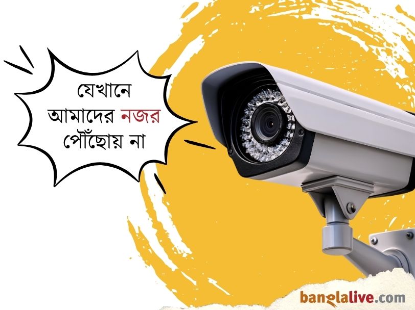 CCTV Surveillance